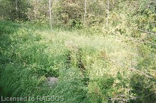 LOT 1 Con 12, Owen Sound, ON, N4K5N6 | Card Image