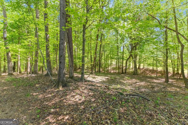 860 Canter Way, Home with 0 bedrooms, 0 bathrooms and null parking in Jefferson GA | Image 6