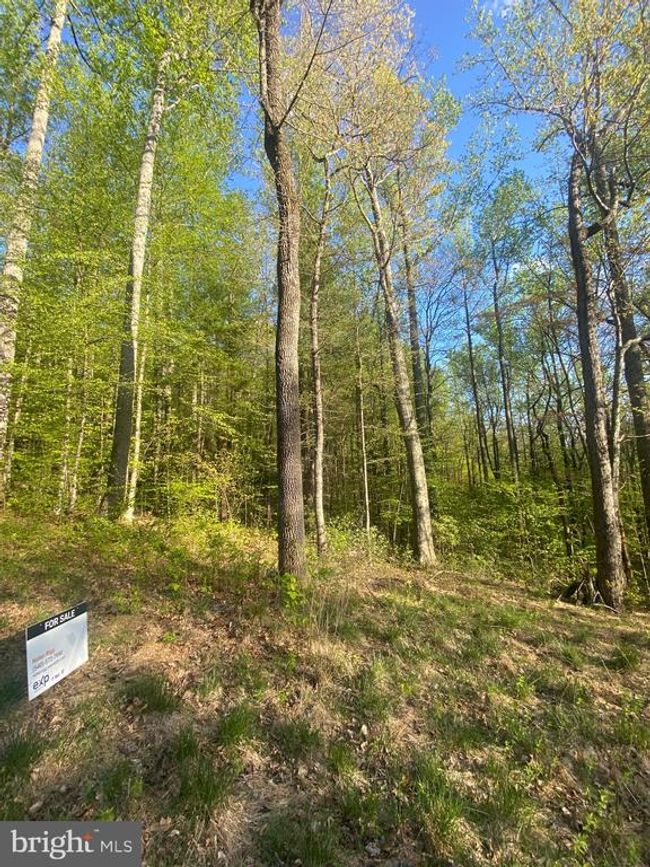 0 Revenooer Rd, Home with 0 bedrooms, 0 bathrooms and null parking in MADISON VA | Image 11