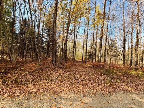 TBD County Road 303, Deer River, MN, 56636 | Card Image
