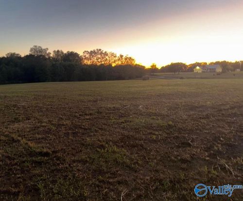 Lot 4 County Road 1755, Holly Pond, AL, 35083-5119 | Card Image