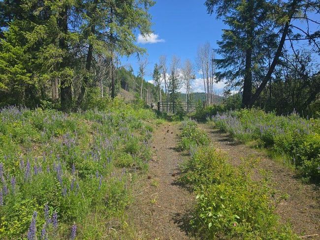 3715 Hill Loop Rd, Home with 0 bedrooms, 0 bathrooms and null parking in Kettle Falls WA | Image 12