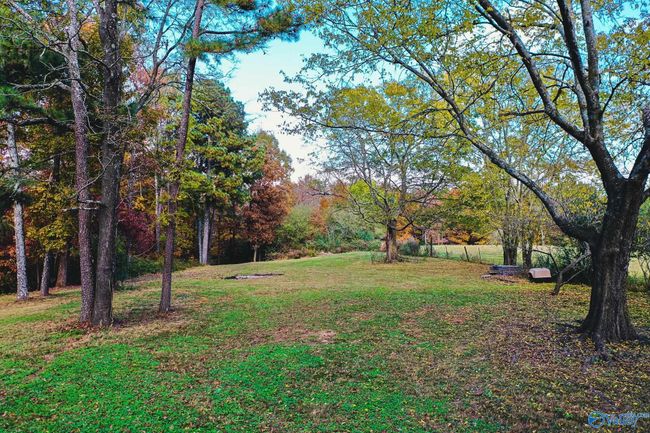 158 Bean Dr, Home with 0 bedrooms, 0 bathrooms and null parking in Union Grove AL | Image 7