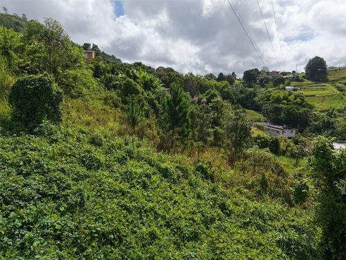 PR 772 KM 4.9 Cañabon Ward, BARRANQUITAS, PR, 00794 | Card Image