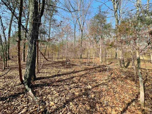 0000 Peace Mountain Road, Mountain View, AR, 72560 | Card Image