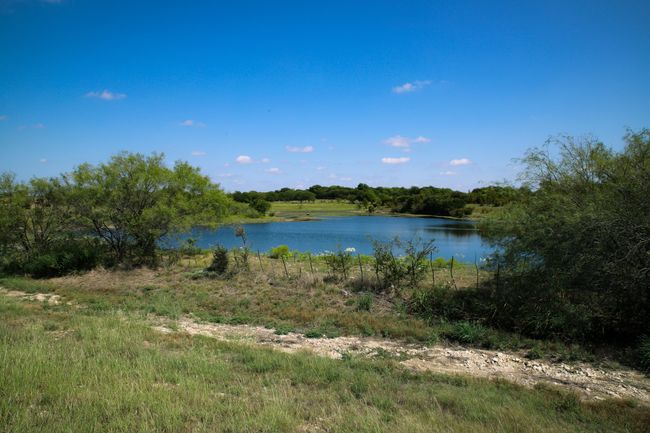 pasture for development | Image 22