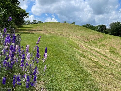 0 Cain Ridge Rd, Clarington, OH, 43915 | Card Image