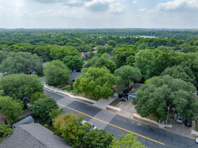 Drone / aerial view of a forest | Image 40