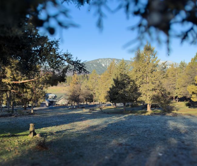 520 Mourning Dove Dr-10 | Image 15