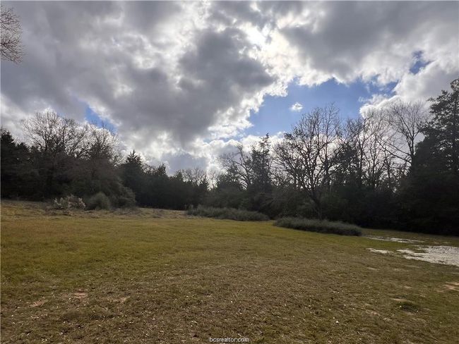View of grassy yard | Image 9