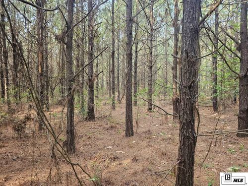 000 County Line Rd, Ruston, LA, 71270 | Card Image