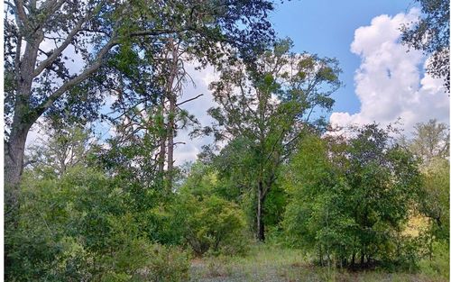 LOT29 179th Ln, Live Oak, FL, 32060 | Card Image