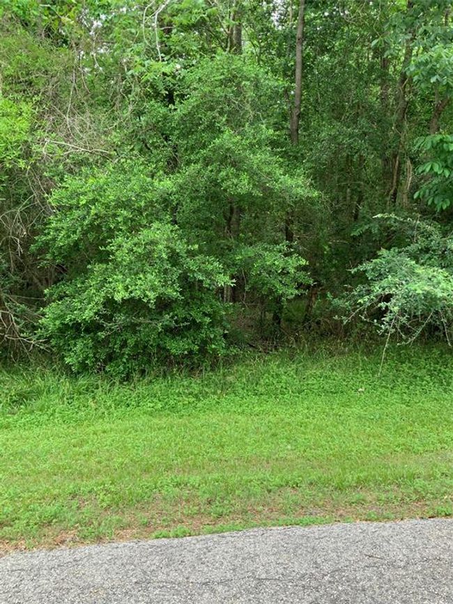 10 Idlewilde Est, Home with 0 bedrooms, 0 bathrooms and null parking in Onalaska TX | Image 7