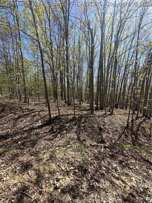 Lot 5 Lucky Ln, Alkol, WV, 25501 | Card Image