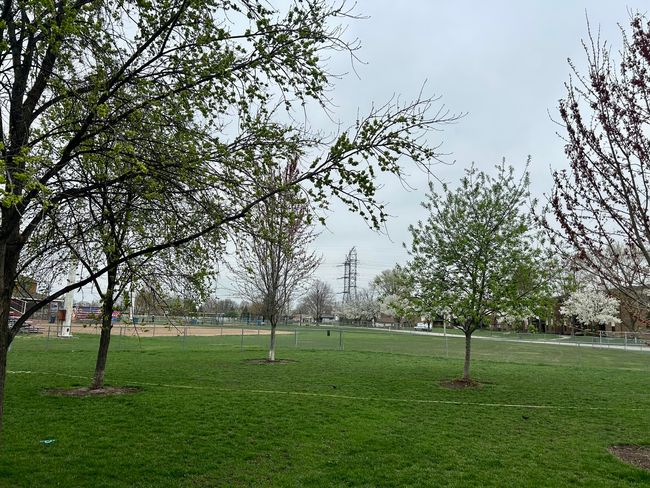 Park | Image 26