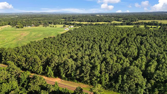 TBD 17.57 ACRES Fm 2274, Home with 1 bedrooms, 1 bathrooms and null parking in Troup TX | Image 17