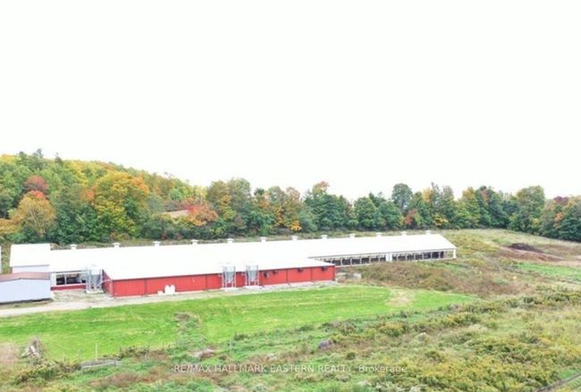 1300 David Fife Line, House other with 5 bedrooms, 3 bathrooms and 5 parking in Keene ON | Image 12