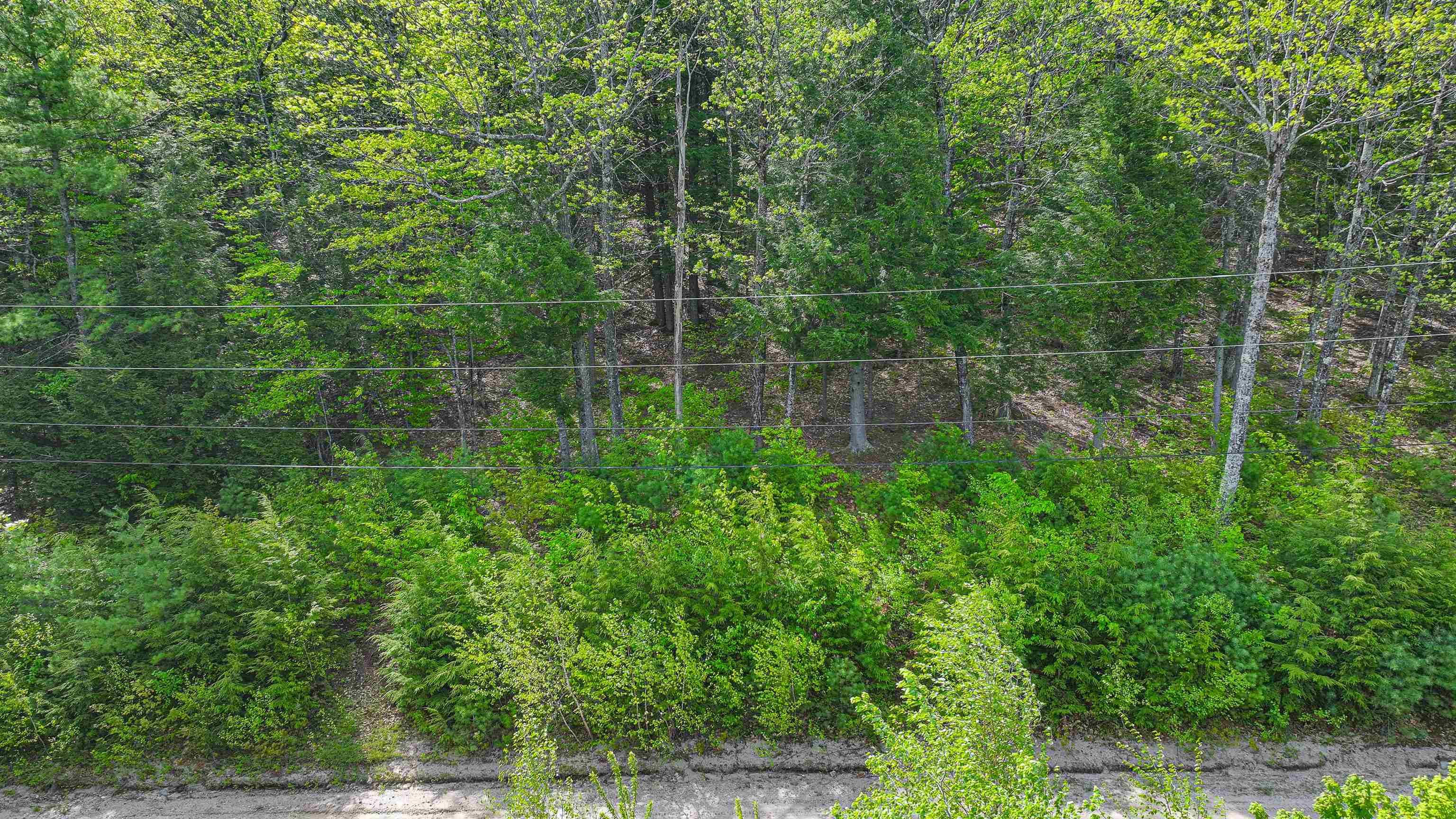 Land in Conway 2