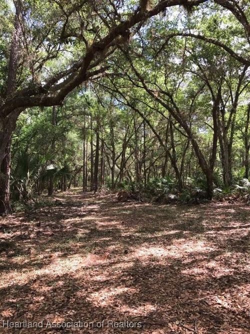 49 Fenny Bosk Trl, Venus, FL, 33960 | Card Image