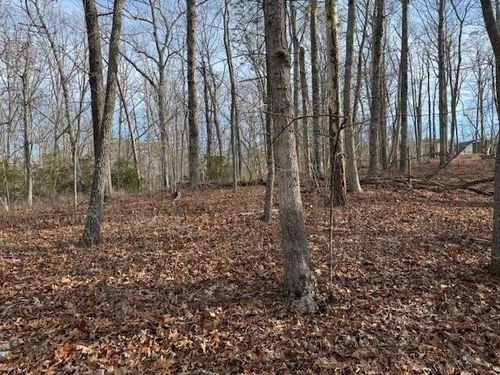 Lot 38 Chestnut Dr, Hardy, VA, 24101 | Card Image