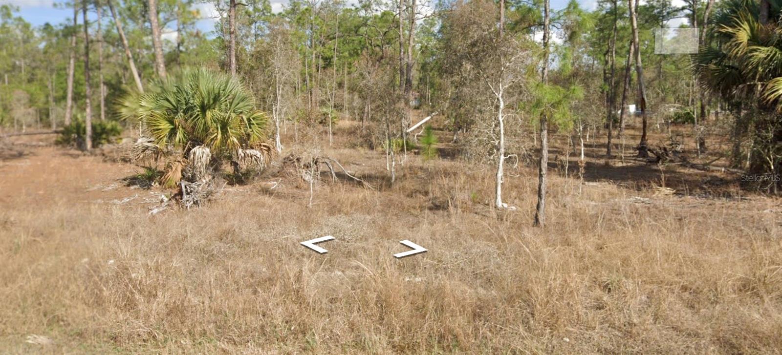 Land in LEHIGH ACRES 3