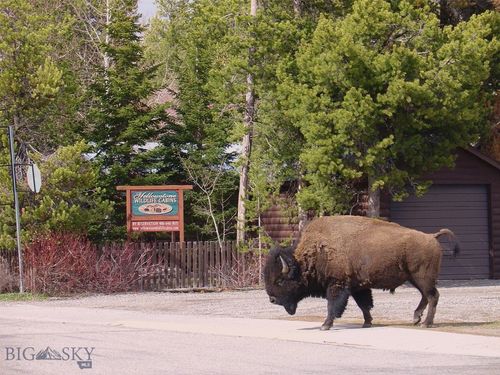 225 N Geyser St, West Yellowstone, MT, 59758-8944 | Card Image