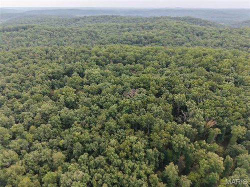 Section 32 Township 29 Range 3, Piedmont, MO, 63957 | Card Image