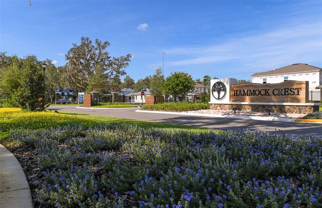 14179 Hammock Crest Way, House other with 5 bedrooms, 4 bathrooms and null parking in RIVERVIEW FL | Image 23