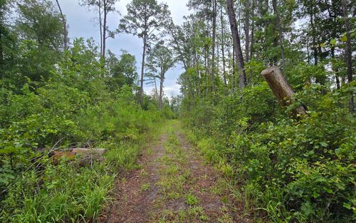 16 Nw 16th St, Jasper, FL, 32052 | Card Image