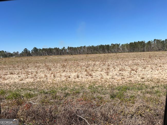 142 Norman Cole Rd, Home with 0 bedrooms, 0 bathrooms and null parking in Nicholls GA | Image 8