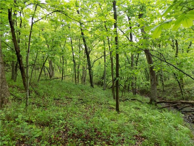1267 Rock Creek Rd, Home with 0 bedrooms, 0 bathrooms and null parking in Williamsburg KS | Image 15