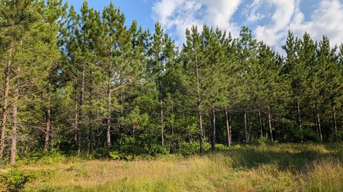 Lot C Hwy. 24, Orr, MN, 55771 | Card Image