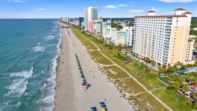 Bird's eye view of extended coastline | Image 24