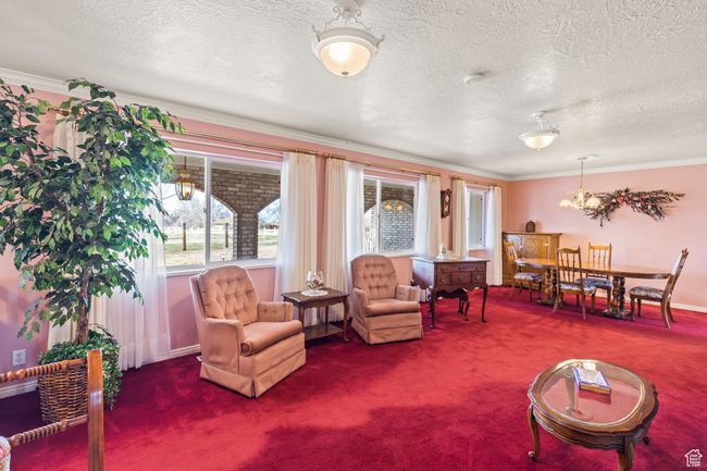 living room and windows towards front porch | Image 6