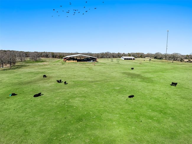 789 Big Mineral Rd, Home with 0 bedrooms, 0 bathrooms and null parking in Sadler TX | Image 35