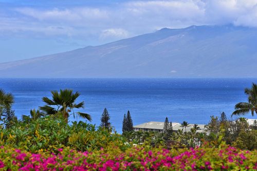 apt-4201-50 Puu Anoano St, Lahaina, HI, 96761-1968 | Card Image