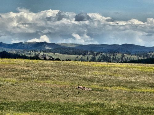 TBD Argyle Rd, Custer, SD, 57730 | Card Image