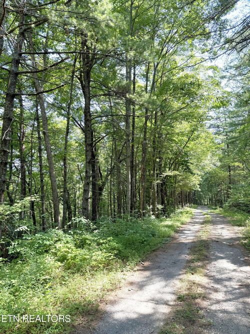 Lot 4 Oakwood Rd, Walland, TN, 37886 | Card Image