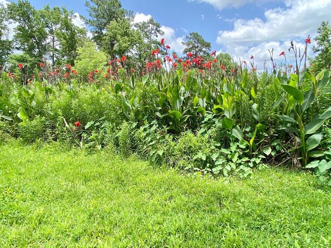 1510 Hughes Rd, House other with 2 bedrooms, 2 bathrooms and 2 parking in Lufkin TX | Image 6