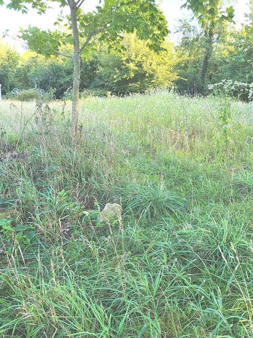 14/28 Woodhaven, Sublette, IL, 61367 | Card Image