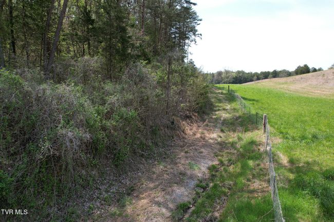 0 Coy Bradley Ln, Home with 0 bedrooms, 0 bathrooms and null parking in Bulls Gap TN | Image 13