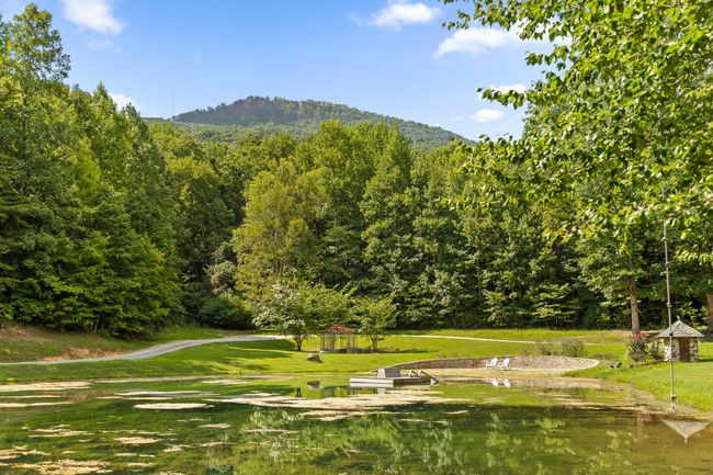 The Swimming Hole | Image 35