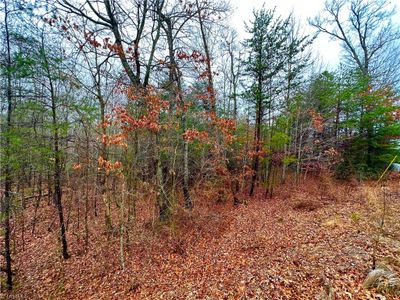 LOT 45 Ridge Run Road, Home with 0 bedrooms, 0 bathrooms and null parking in Boomer NC | Image 2