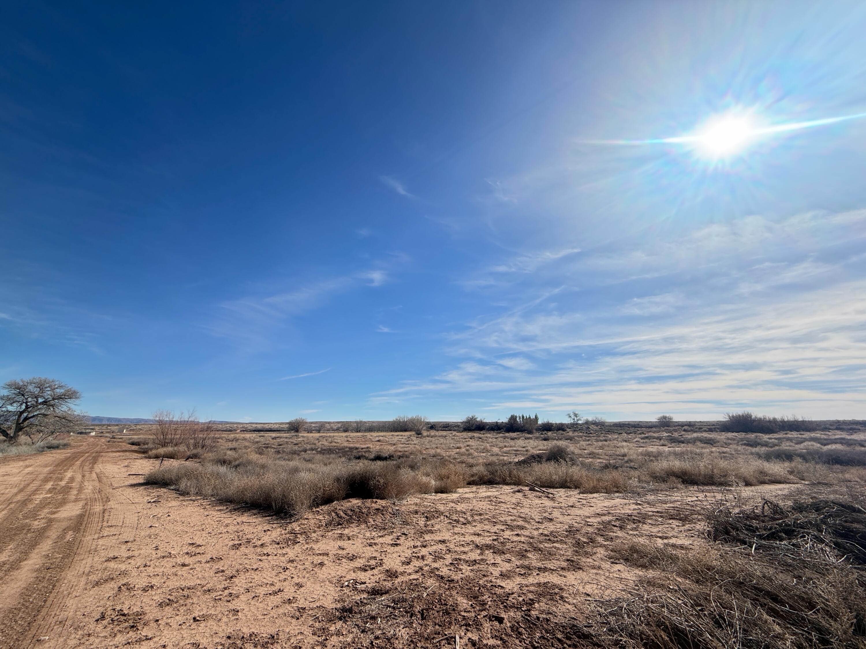 Land in La Joya 2