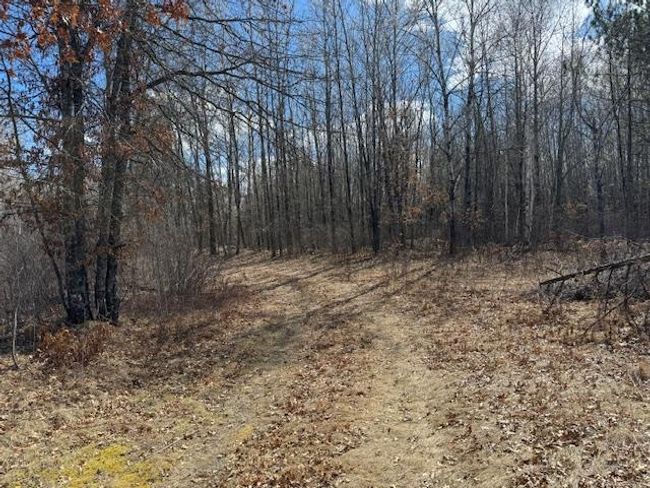 Great Trails and access to River | Image 16