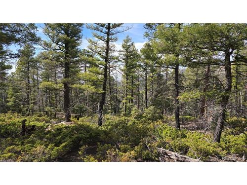 6070 Vreeland Rd, San Luis, CO, 81152 | Card Image