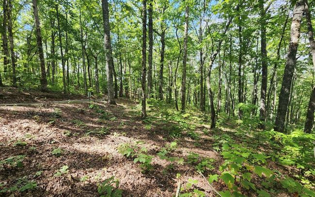 0 Lakeview Heights, Home with 0 bedrooms, 0 bathrooms and null parking in Hayesville NC | Image 5