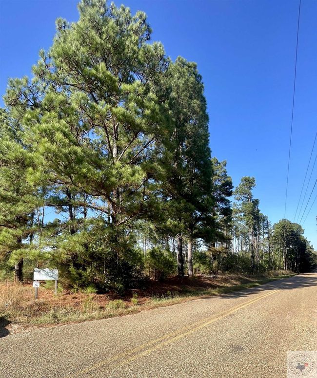 1407 Miller County 3, Home with 0 bedrooms, 0 bathrooms and null parking in Doddridge AR | Image 6