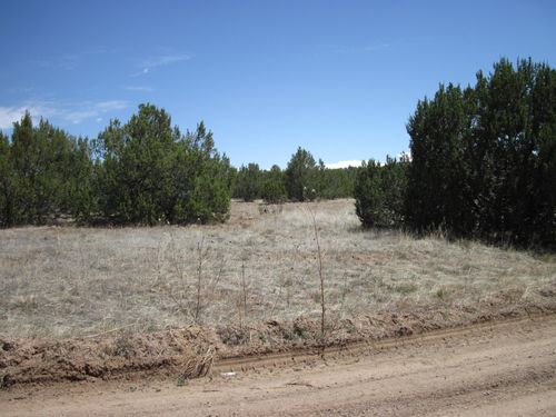 110 Jesse James Rd, Edgewood, NM, 87015-8118 | Card Image