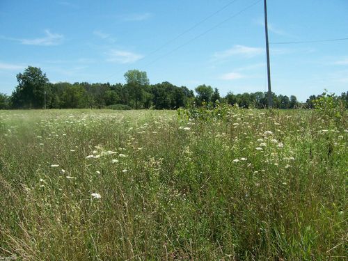Lot D Calvin Rd, Memphis, MI, 48041 | Card Image